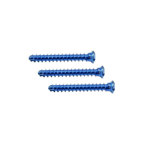 TORNILLO 2.0 MM AUTORROSCANTE TITANIO - Imagen 2